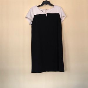 Talbots NWT dress size 16p in Navy and White